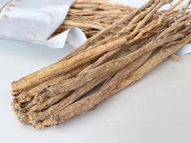 黨參