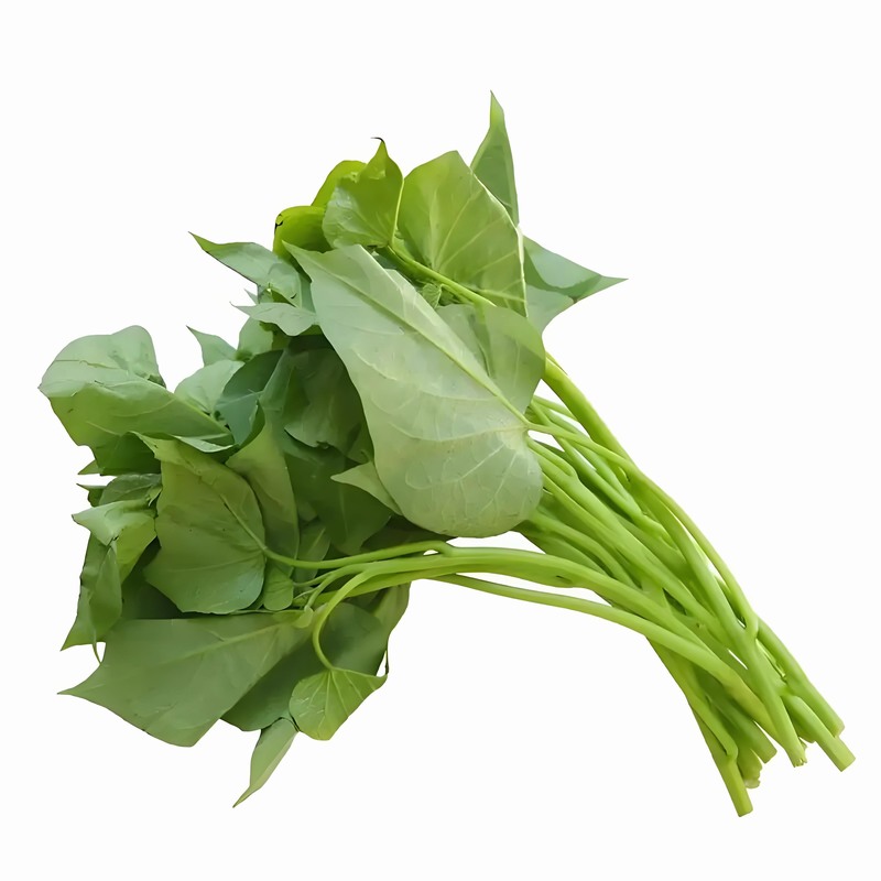 春分時(shí)節(jié)：減衣不宜過(guò)早起居應(yīng)晚睡早起早春