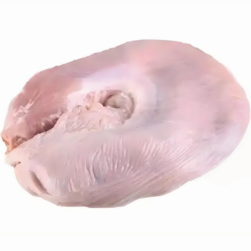 豬肚
