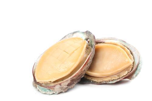 鮑魚
